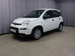 296 gelato weiß Neu 2024 Fiat Panda Kleinwagen | 14.470 €