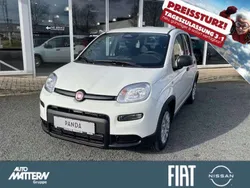 Gelato weiss Neu 2025 Fiat Panda Kleinwagen | 15.490 €