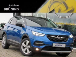 Blau Gebraucht 2019 Opel Grandland X Innovation SUV | 15.450 € (Fairer Preis)