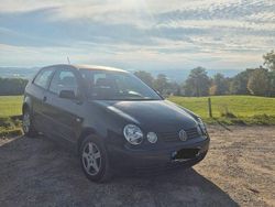 Schwarz Gebraucht 2002 VW Polo Kleinwagen | 1.499 € (Fairer Preis)