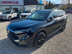 Schwarz Gebraucht 2024 Honda CR-V Elegance SUV | 38.990 € (Superpreis)