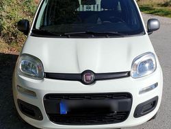 Weiß Gebraucht 2014 Fiat Panda Young Kleinwagen | 4.400 € (Fairer Preis)