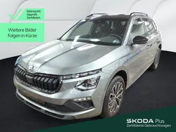 Grau Gebraucht 2025 Skoda Kamiq Tour SUV | 28.999 € (Teuer)