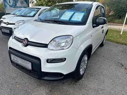 Weiß Neu 2024 Fiat Panda Kleinwagen | 15.490 € (Fairer Preis)