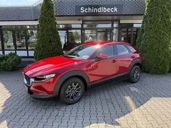 Rot Gebraucht 2023 Mazda CX-30 Basis SUV | 23.990 € (Guter Preis)
