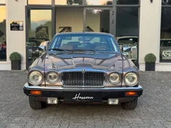 Gebraucht 1984 Jaguar XJ12 Limousine | 19.990 €