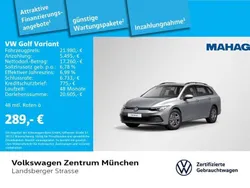 Silber Gebraucht 2021 VW Golf VIII Life Kombi | 21.980 € (Guter Preis)