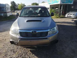 Grau Gebraucht 2011 Subaru Forester Active SUV | 2.850 € (Guter Preis)