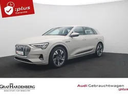 Siambeige metallic Gebraucht 2022 Audi e-tron Advanced SUV | 44.980 € (Teuer)