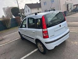 Blau Gebraucht 2008 Fiat Panda Kleinwagen | 1.200 € (Guter Preis)