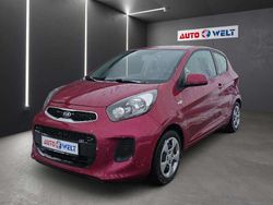 Violett Gebraucht 2016 Kia Picanto Kleinwagen | 5.690 € (Fairer Preis)