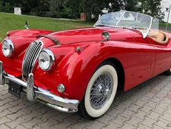 Rot Gebraucht 1954 Jaguar XK Cabrio | 109.140 €