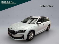 Moonweiß perleffekt Gebraucht 2025 Skoda Octavia Essence Kombi | 25.790 € (Guter Preis)