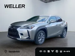 Gruen Neu 2024 Lexus UX 300e SUV | 34.990 €