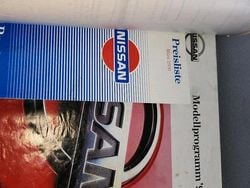 Grau Gebraucht 1990 Nissan Terrano SUV | 9.979 €