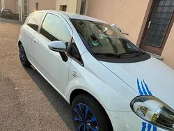 Weiß Gebraucht 2012 Fiat Punto Kleinwagen | 2.499 € (Guter Preis)