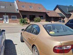 Gelb Gebraucht 2005 Seat Toledo Reference Limousine | 600 € (Superpreis)