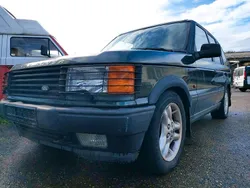 Grün Gebraucht 1994 Land Rover Range Rover HSE SUV | 2.499 €