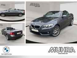 Mineralgrau metallic Gebraucht 2018 BMW 220 Sport Line Cabrio | 26.890 € (Etwas zu teuer)