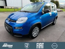 Blau Gebraucht 2024 Fiat Panda Kleinwagen | 15.490 € (Fairer Preis)