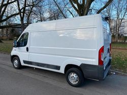 Weiß Gebraucht 2015 Fiat Ducato Van | 13.800 € (Etwas zu teuer)