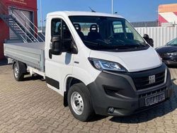 Ducato weiß Gebraucht 2022 Fiat Ducato Van | 38.900 €