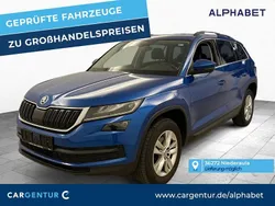Race blau Gebraucht 2021 Skoda Kodiaq Ambition SUV | 22.197 € (Guter Preis)