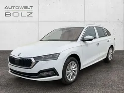 Moonweiss metallic Gebraucht 2024 Skoda Octavia Style Kombi | 31.990 € (Guter Preis)
