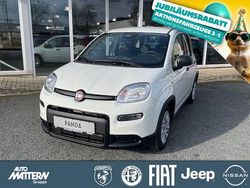 Weiß Gebraucht 2024 Fiat Panda Kleinwagen | 14.990 € (Fairer Preis)