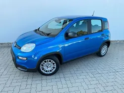 Blau Gebraucht 2024 Fiat Panda Kleinwagen | 15.990 € (Etwas zu teuer)