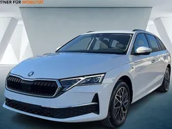 Weiß Neu 2025 Skoda Octavia Selection Kombi | 36.686 € (Fairer Preis)