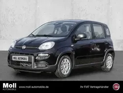 Schwarz Neu 2024 Fiat Panda Kleinwagen | 15.480 €