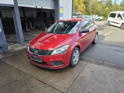 Rot Gebraucht 2012 Kia ProCeed DREAM-TEAM Edition Kleinwagen | 3.300 €