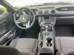 Schwarz Gebraucht 2015 Ford Mustang Cabrio | 21.500 €