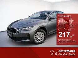 Graphitegrau Gebraucht 2025 Skoda Octavia Essence Limousine | 23.680 € (Superpreis)