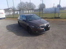 Braun Gebraucht 2016 Skoda Octavia Active Kombi | 10.000 € (Fairer Preis)