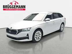 Weiß Gebraucht 2025 Skoda Octavia Selection Kombi | 30.990 € (Guter Preis)