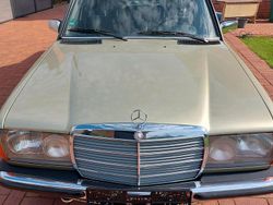 Grün Gebraucht 1982 Mercedes E230 Limousine | 9.990 €
