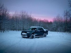 Grau Gebraucht 2021 Ford Ranger Wildtrack Abholung | 34.500 € (Guter Preis)