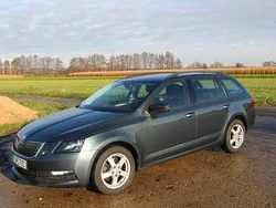 Grau Gebraucht 2019 Skoda Octavia Sport Kombi | 15.500 € (Fairer Preis)