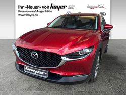 Rot Gebraucht 2020 Mazda CX-30 Selection SUV | 21.930 € (Fairer Preis)