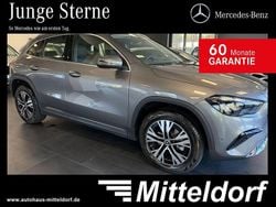 Lack mountaingrau Gebraucht 2024 Mercedes EQA300 Advanced Plus SUV | 36.880 € (Etwas zu teuer)