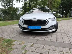 Weiß Gebraucht 2020 Skoda Octavia First Edition Kombi | 25.200 € (Teuer)