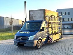 Blau Gebraucht 2014 Mercedes Sprinter Van | 12.900 € (Guter Preis)