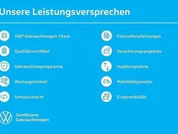 Grün Gebraucht 2025 VW Tiguan Elegance SUV | 42.930 € (Fairer Preis)