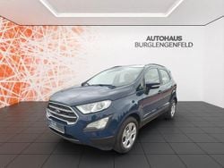 Blau Gebraucht 2019 Ford Ecosport SUV | 12.990 € (Superpreis)