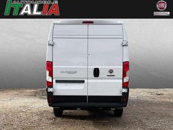 Weiss Gebraucht 2024 Fiat Ducato Van | 42.541 €