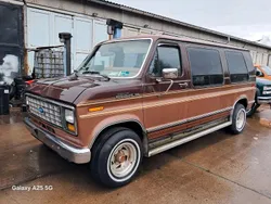 Braun Gebraucht 1987 Ford Econoline Van | 6.900 €
