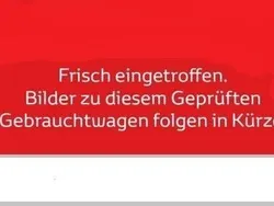 Grau Gebraucht 2012 Fiat Doblò Pop Van / Kleinbus | 7.650 € (Teuer)