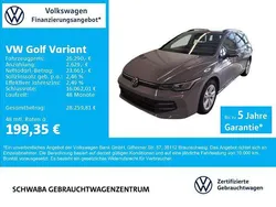 Mondsteingrau Gebraucht 2025 VW Golf VIII Life Kombi | 26.290 € (Guter Preis)